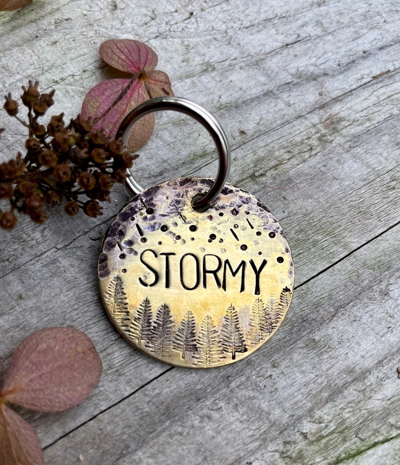 Custom Dog Tag Copper Dog Tag Dog ID Tag Metal Dog Tag Dog Collar Tag Custom Dog Collar Stormy Pet Tag Adventure Dog Tag image 2