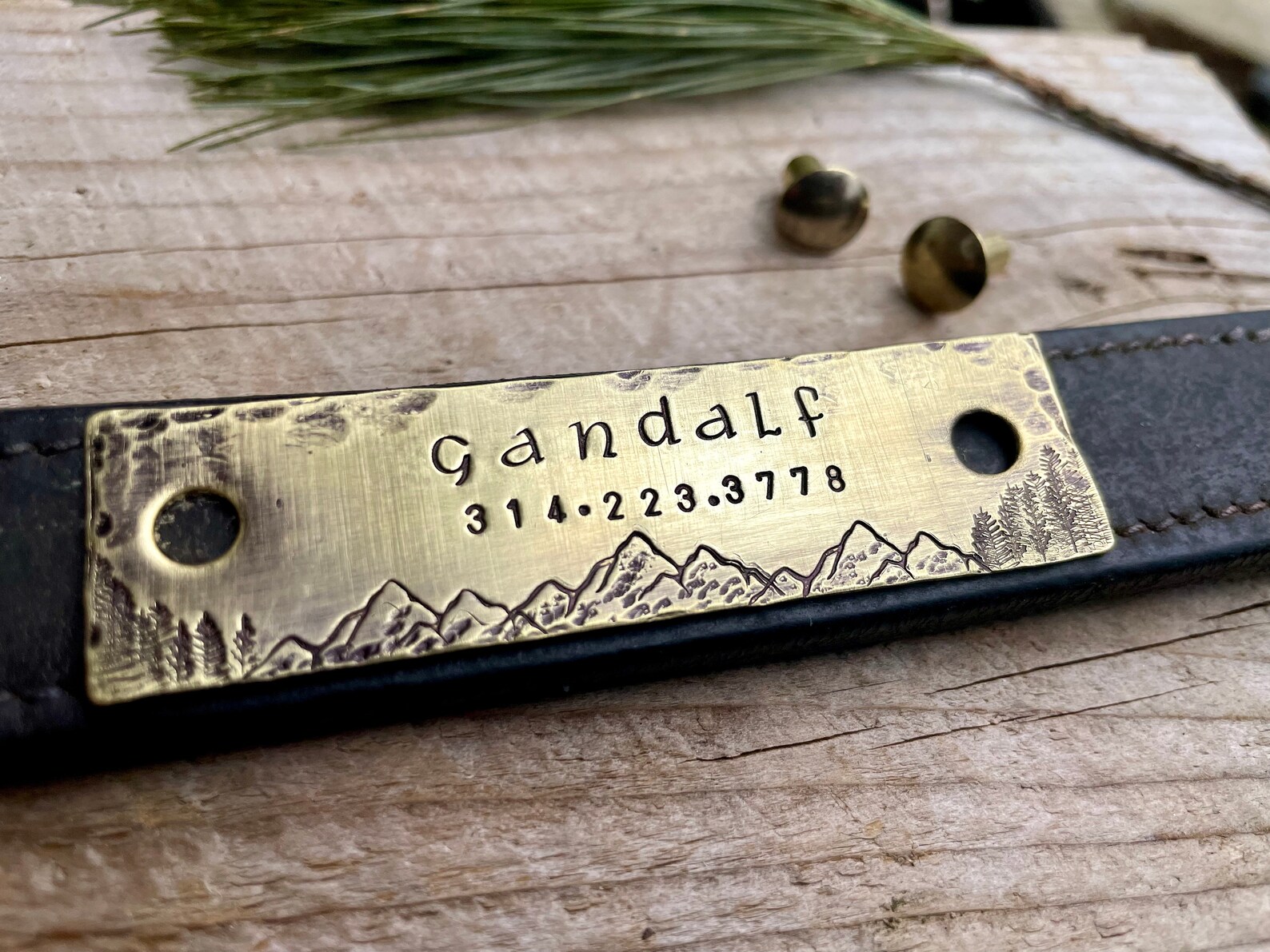 Rivet on Dog Tag Dog Collar Nameplate Personalized Pet ID Etsy