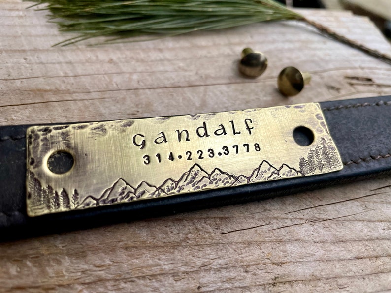 Rivet on Dog Tag Dog Collar Nameplate Personalized Pet ID Etsy