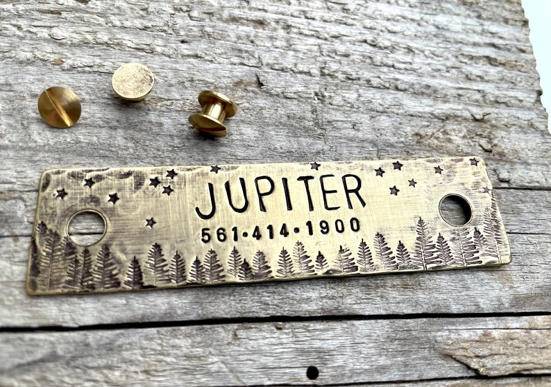 Rivet On Dog Tag Dog Collar Nameplate Personalized Pet ID Tag Dog Collar Quiet Tag Screw On Copper Jupiter Pet ID Tag image 8