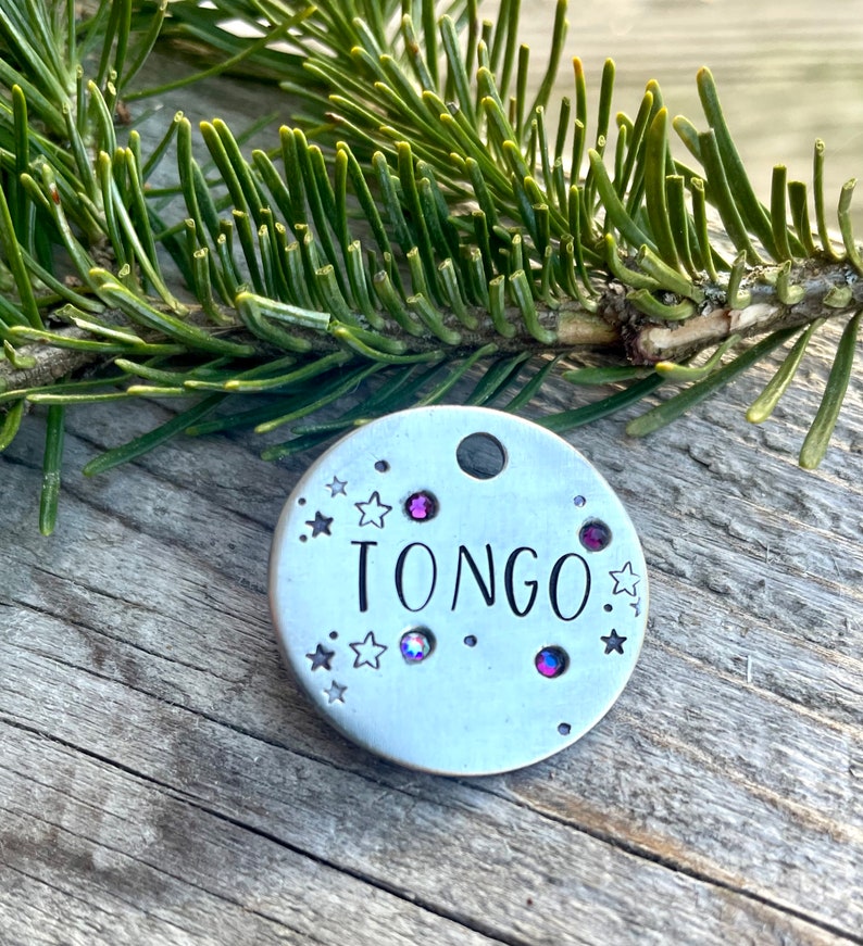 Custom Horse Halter Tag, Horse Gift for Women, Personalized Horse Tag, Horse Owner/Trainer Gift, Dressage Gift, Personalized Bridle Tag image 5
