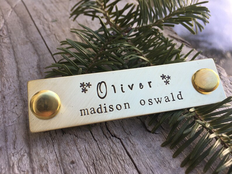 Custom Horse Halter Name Plate Brass Halter Tag Equestrian Etsy