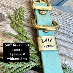 Custom Brass Slide On Dog Tag for Collar, Personalized Metal Pet ID, Minimalist Silent No Dangle Dog Name Tag, Quiet Hunting Dog Collar Gear image 3