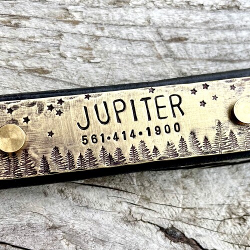Personalized Brass Rivet Tags Collar Pet ID Tag Dog Tag Etsy