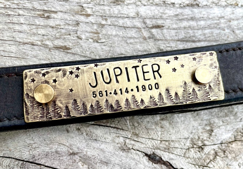 Rivet On Dog Tag Dog Collar Nameplate Personalized Pet ID Tag Dog Collar Quiet Tag Screw On Copper Jupiter Pet ID Tag image 4