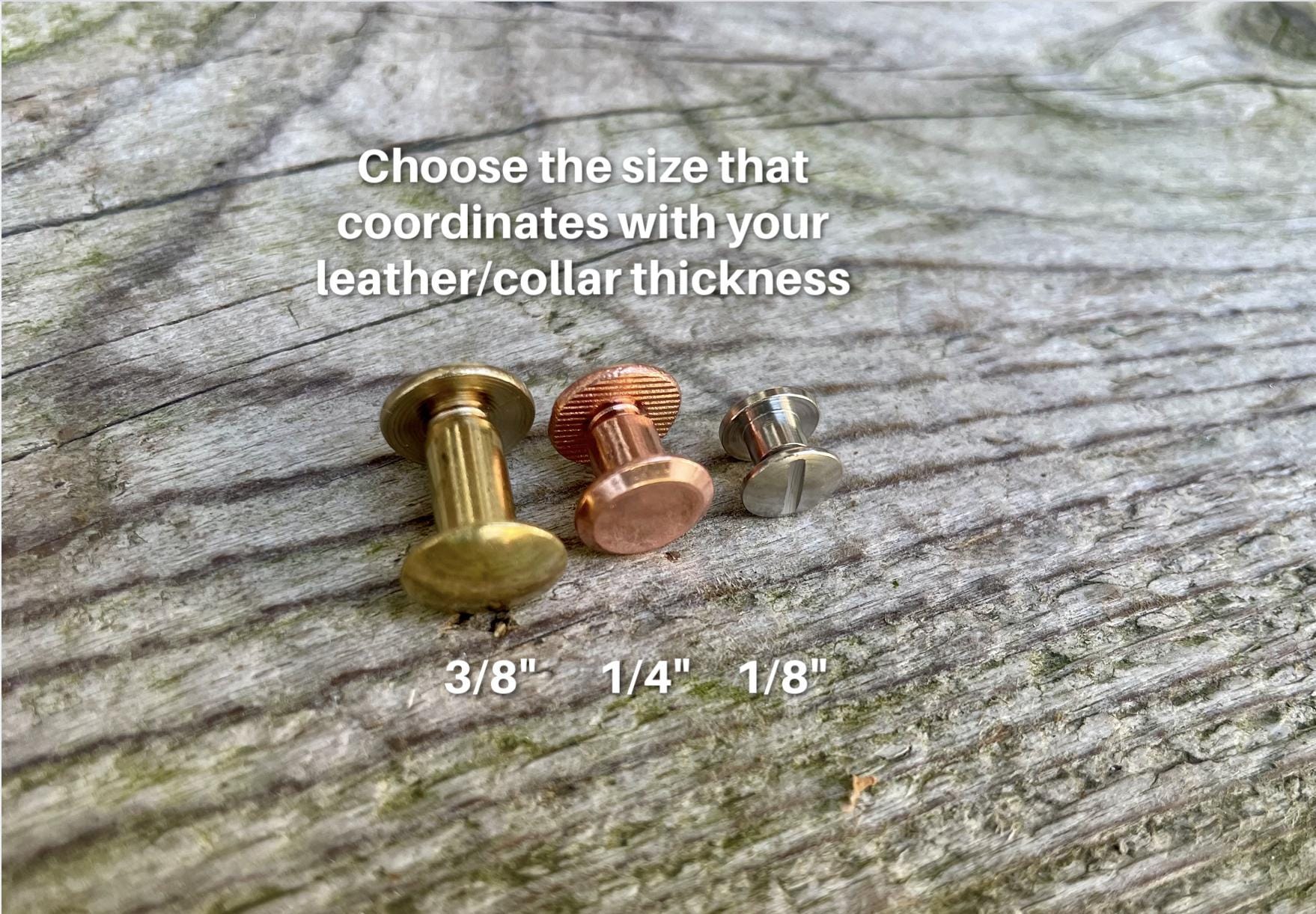 Chicago Rivet Screws for Leather or Biothane Dog Collar Rivets - Brass ...
