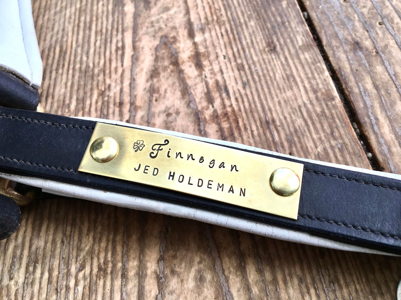 Custom Horse Halter Name Plate Brass Halter Name Tag Etsy