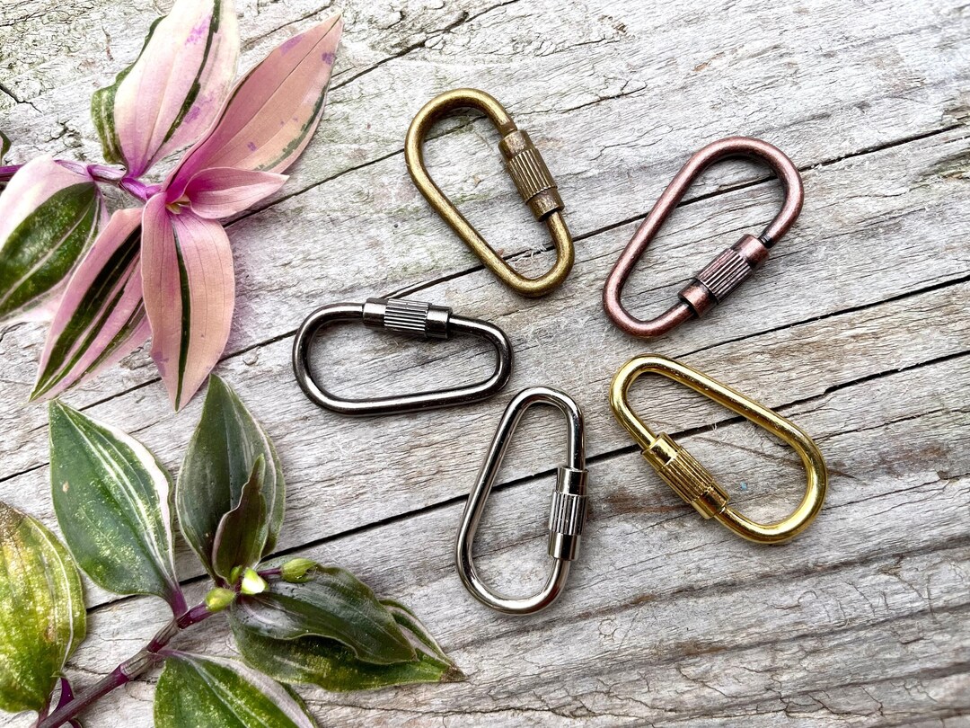 Dog Tag Carabiner Dog Tag Clip for Collars Screw Mini Etsy