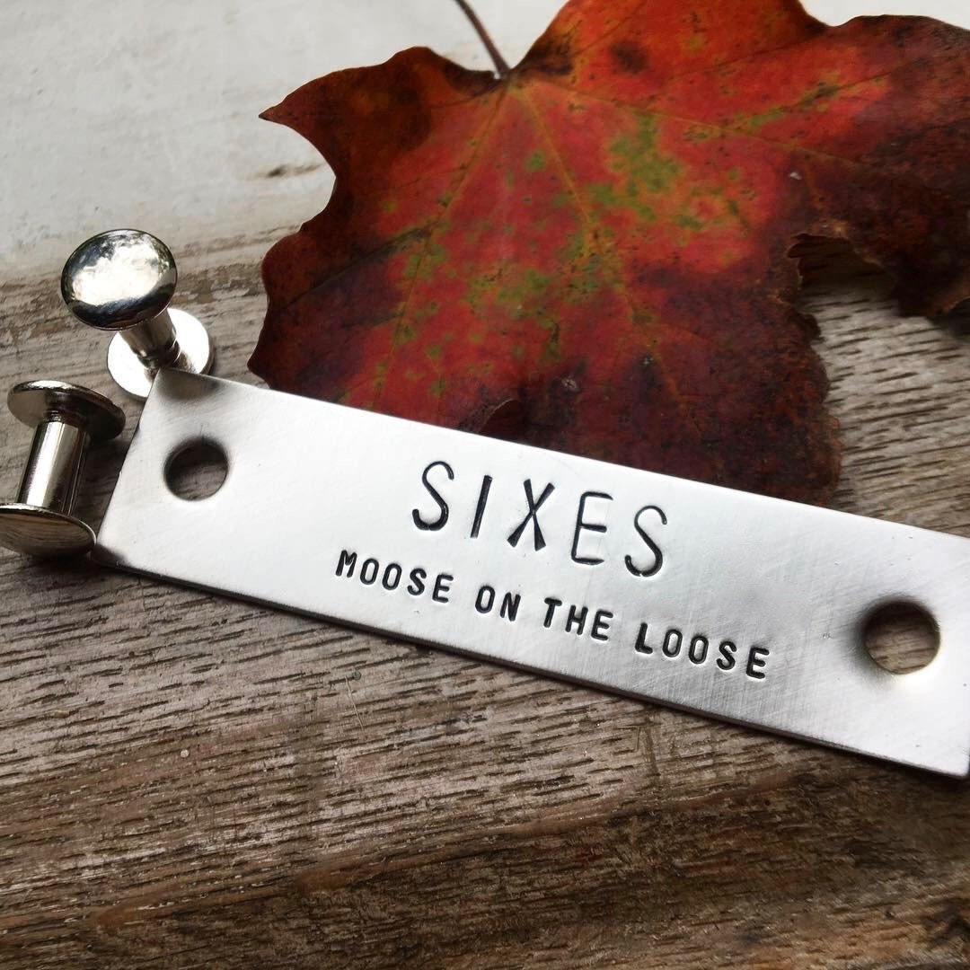 Custom Halter Name Plate Personalized Horse Name Plate in Brass or