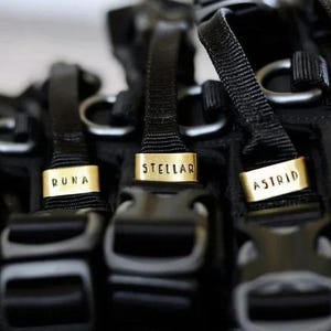 May include: Close-up of several black dog harnesses with gold name tags. The tags are engraved with names like "Jupiter," "Duna," "Stellar," "Astrid," and "Stormy." The harnesses have black straps and buckles.