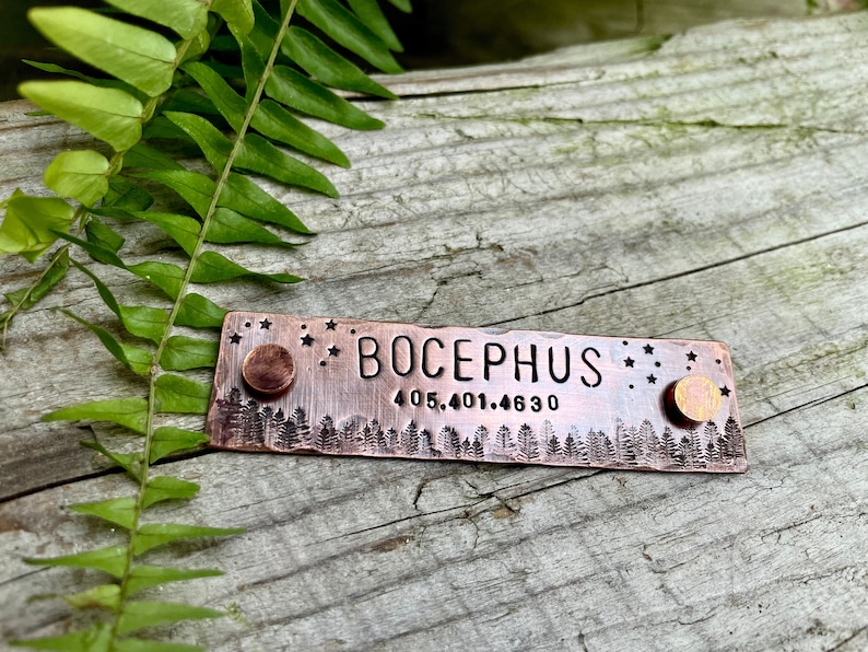 Rivet On Dog Tag Dog Collar Nameplate Personalized Pet ID Tag Dog Collar Quiet Tag Screw On Copper Jupiter Pet ID Tag image 1