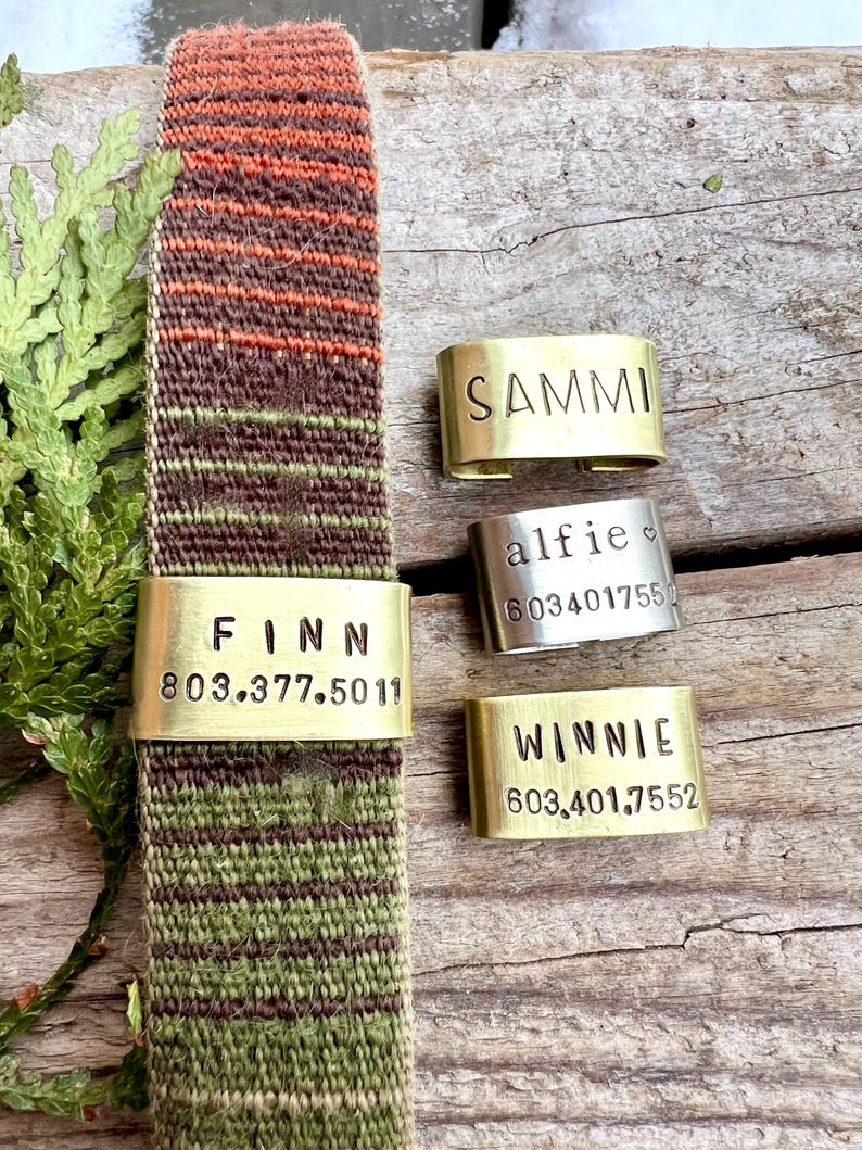 May include: A woven dog collar with a brass name tag that reads "FINN" and a phone number. Additional brass and silver name tags with pet names "SAMMI", "WINNIE", and "alfie" are also visible.