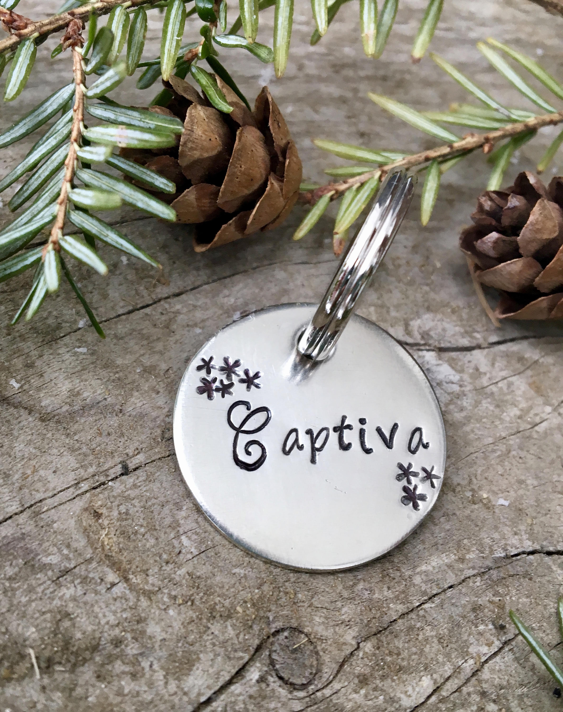 Custom Halter Tag / Bridle Tag / Gift for Horse Lover, Blanket Tag, Barn ID Tag, Personalized Bridle Tag, Saddle Tag, Horse Gift for Women