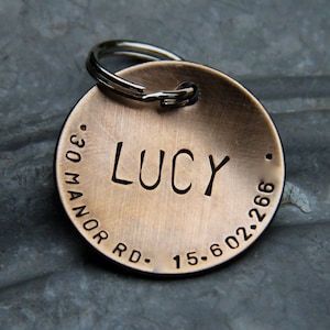 Targhetta identificativa personalizzata per cani/animali domestici - Lucy - in bronzo bombato da 1,25&#39;&#39;, alluminio, rame o ottone