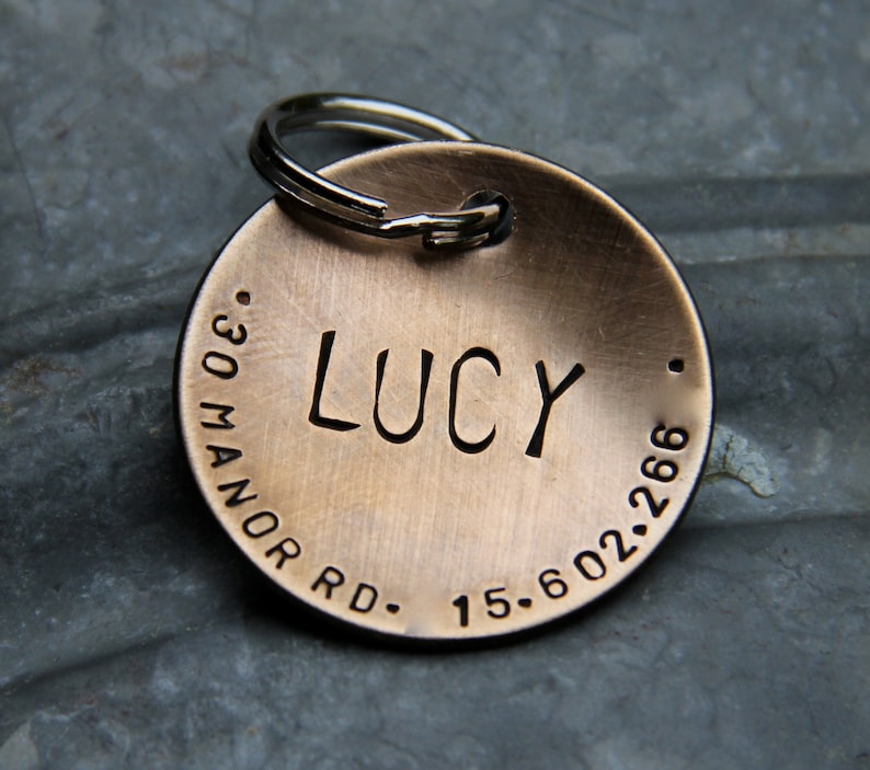 Custom Dog Tag / Custom Pet ID Tag Lucy in 1.25'' Domed Bronze, Aluminum, Copper or Brass image 3