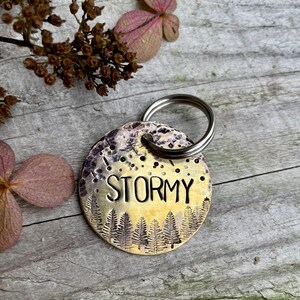 Custom Dog Tag Copper Dog Tag Dog ID Tag Metal Dog Tag Dog Collar Tag Custom Dog Collar Stormy Pet Tag Adventure Dog Tag image 5