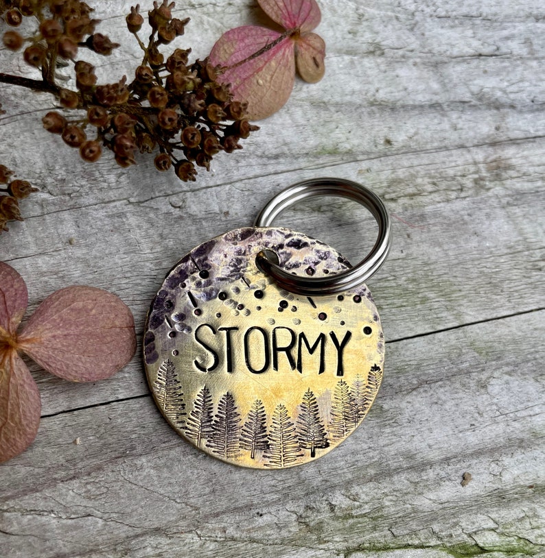 Custom Dog Tag Copper Dog Tag Dog ID Tag Metal Dog Tag Dog Collar Tag Custom Dog Collar Stormy Pet Tag Adventure Dog Tag image 5