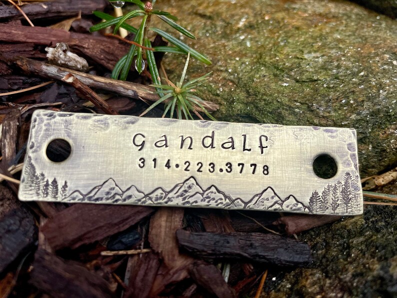 Rivet on Dog Tag Dog Collar Nameplate Personalized Pet ID Etsy