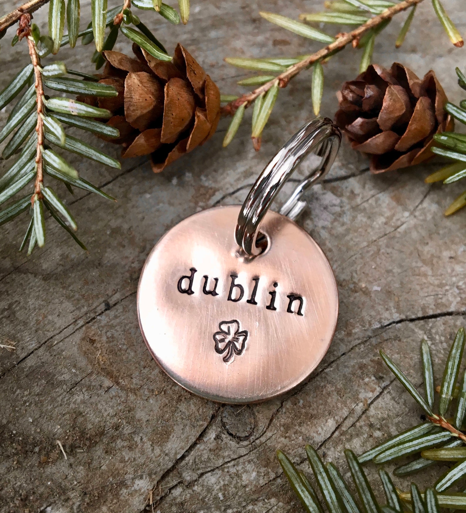 Custom Bridle Tag - Halter Tag - Horse Name Tag - Gift For Horse Lover - Blanket Tag - Barn ID Tag - Personalized Bridle Tag - Saddle Tag