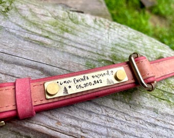 Custom Brass Rivet On Dog Tag - Dog ID Collar Nameplate - Personalized Pet ID Tag - Dog Collar Quiet Tag - Screw On Tag for Small Dogs