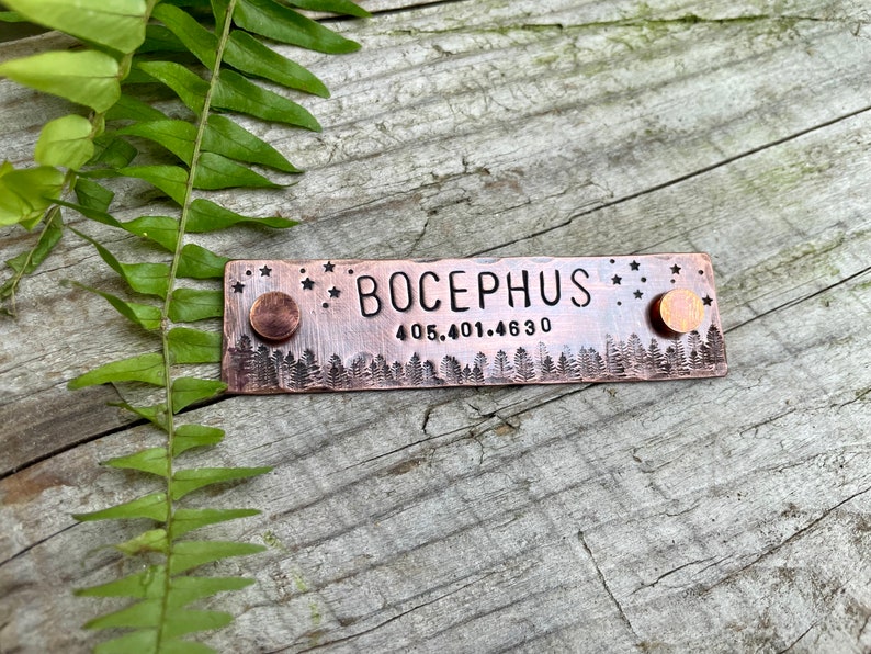 Rivet On Dog Tag Dog Collar Nameplate Personalized Pet ID Tag Dog Collar Quiet Tag Screw On Copper Jupiter Pet ID Tag image 3