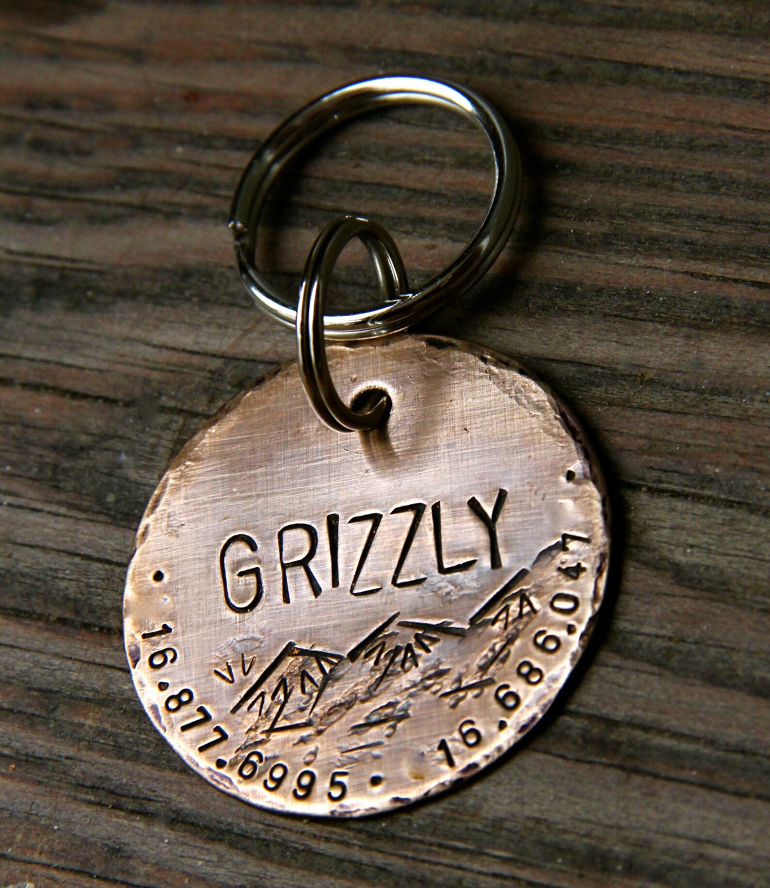 Mountain Scene Dog Tag /custom Dog Tag / Adventure Dog ID Tag Etsy