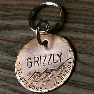 Custom Distressed Rustic Dog ID Tag in Bronze, Personalized Pet ID Tag with Mountain Design, Hand Stamped with Phone and Address Included