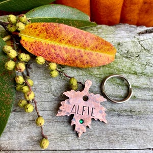 May include: A copper leaf-shaped pet tag with the name "ALFIE" engraved, a green gem, and a silver ring. The tag rests on a weathered wooden surface, with fall foliage and a pumpkin in the background.