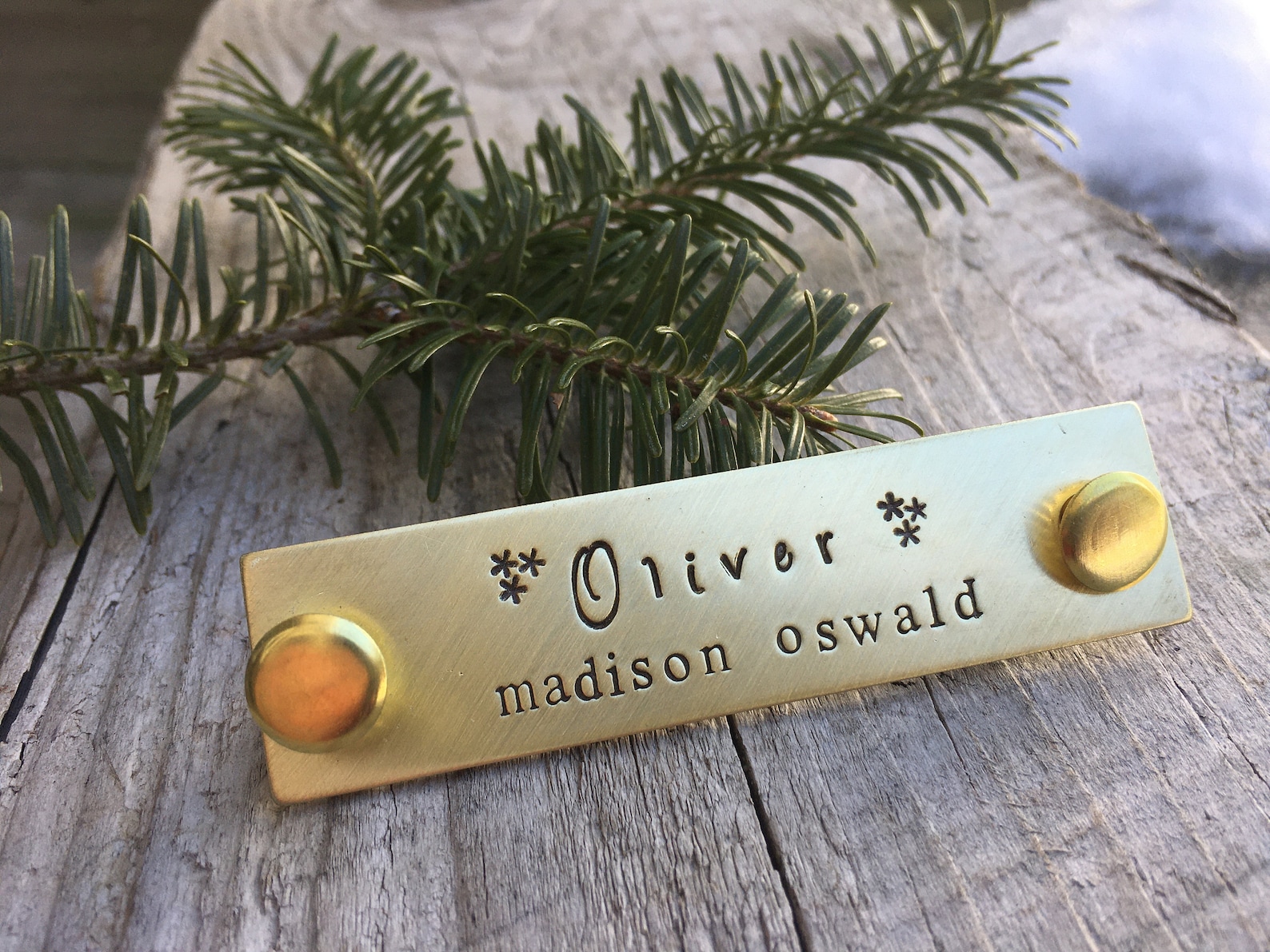 Custom Horse Halter Name Plate Brass Halter Name Tag Etsy