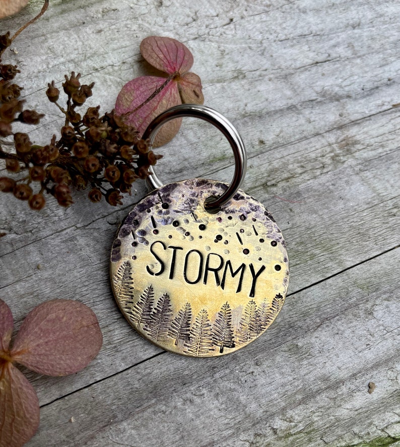 Custom Dog Tag Copper Dog Tag Dog ID Tag Metal Dog Tag Dog Collar Tag Custom Dog Collar Stormy Pet Tag Adventure Dog Tag image 4