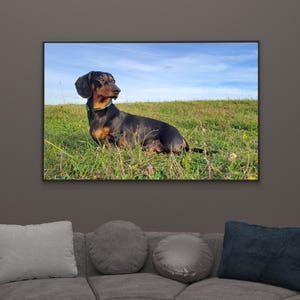Dachshund WallArt Dog Photography Poster Sausage Dog Digital Download Rustic Pet Decor Multiple Sizes JPG Wiener lover gift Printable Doxie
