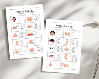Partes del cuerpo humano: ¡aprende inglés de forma divertida! – Hojas de trabajo imprimibles para niños.