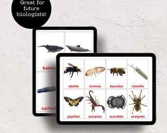 Ultimate Animal Flashcards Collection | Fun & Educational Printable Flashcards for Kids | DigitalDownload | Perfect for Learning Animals!