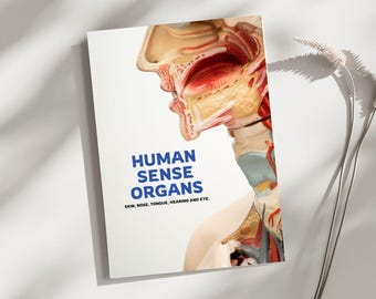 Domina los 5 sentidos en inglés – Paquete de aprendizaje de ESL para estudiantes de nivel intermedio | Hojas de trabajo imprimibles sobre los órganos sensoriales humanos