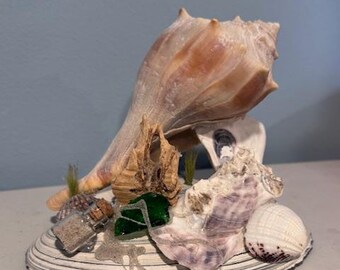 Beach scene shell decor