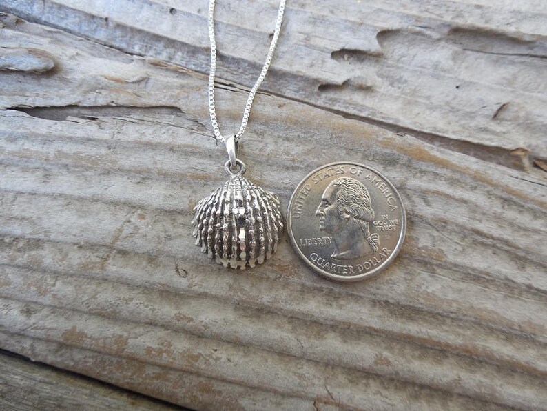 ON SALE Seashell necklace handmade in sterling silver