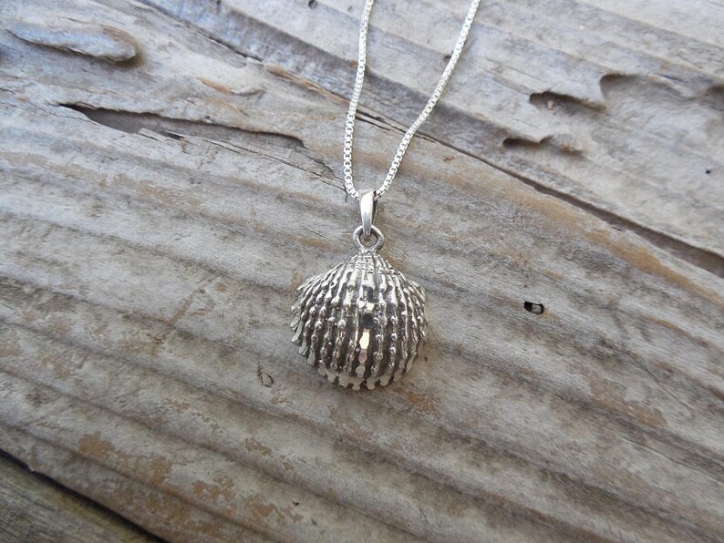 ON SALE Seashell necklace handmade in sterling silver