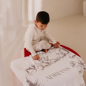 Woodland Blanket for boy Gift Personalized baby blanket Vintage Woodland Nursery decor woodland room woodland Baby Shower Gift for Toddler image 7