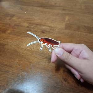 American Cockroach Sticker