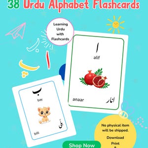 38枚のウルドゥー語アルファベットフラッシュカード、幼児向け教育カード、AlifからYayまでのウルドゥー語アルファベットを学ぶ、ウルドゥー語の文字を学ぶ、モンテッソーリ絵カード