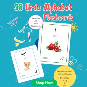 38 tarjetas didácticas del alfabeto urdu, tarjetas educativas preescolares, aprende el alfabeto urdu de Alif a Yay, aprende las letras urdu, tarjetas con imágenes Montessori