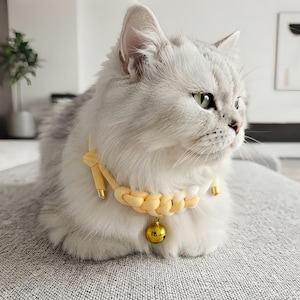 May include: A fluffy silver and white cat wearing a braided light yellow collar. The collar features a small, round, metallic gold bell hanging from the centre and is secured with adjustable yellow cords tipped with gold-coloured metal accents.