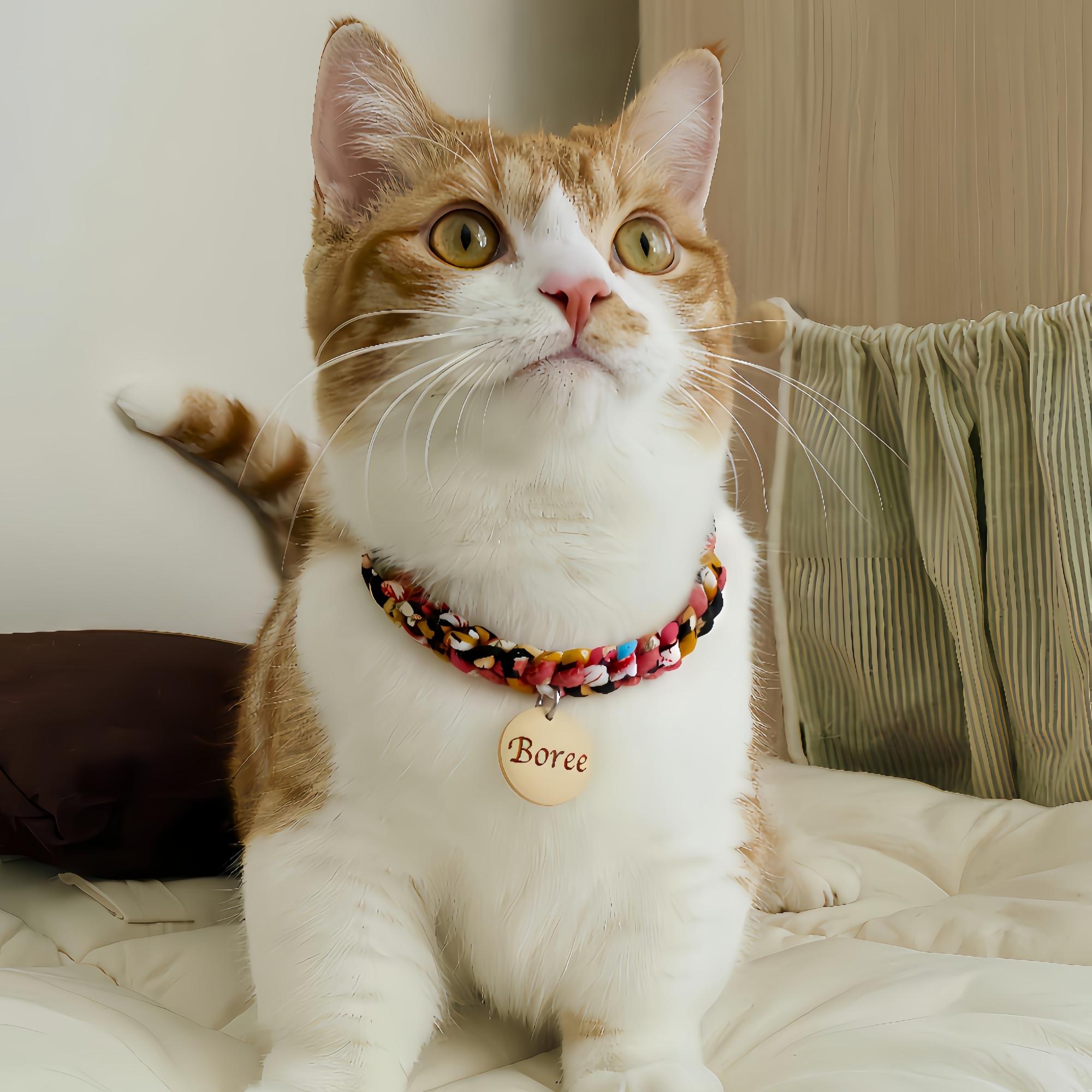 Braided Cotton Rope Pet Collar With Personalized Wooden Tag – Indoor ID ...