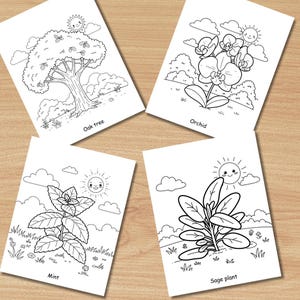 25 Pages Coloring Pages for Kids, Plants & Flowers Printable Coloring Book PDF, Nature Educational Fun Pdf, Home School Kids Learn Activity