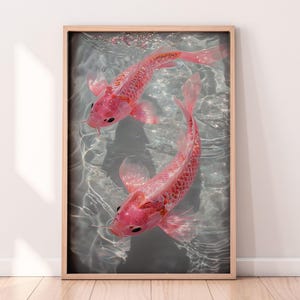 Magisches Koi-Poster Japanischer rosa Karpfen Koi im Wasser | Dekoratives Poster „Coastal Vibes“ mit Fischteich