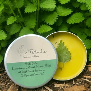 Stinging Nettle Salve - All-Natural Organic