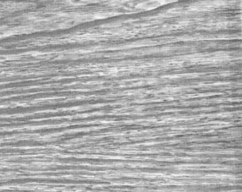 Faux Bois Ash Wood Grain Oil Cloth, Full Bolt of 12 Yards