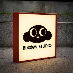 Custom LED light box signs, shop signs, commercial light boxes, logo signs, personalized light boxes, illuminated signs, new store gifts