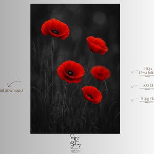 Red Poppy Wall Art – Selective Color Floral Photography Print, Black and Red Botanical Flower Nature Home Decor