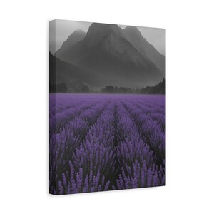 Lavendelfeld Wandkunst – Stimmungsvolle Berglandschaft mit lila Blumenreihen, minimale Naturfotografie für ruhige Innenräume